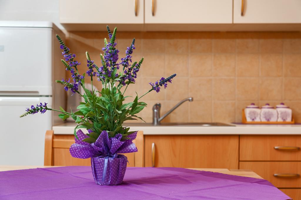 Apartments Mande And Kate Baška Voda 部屋 写真